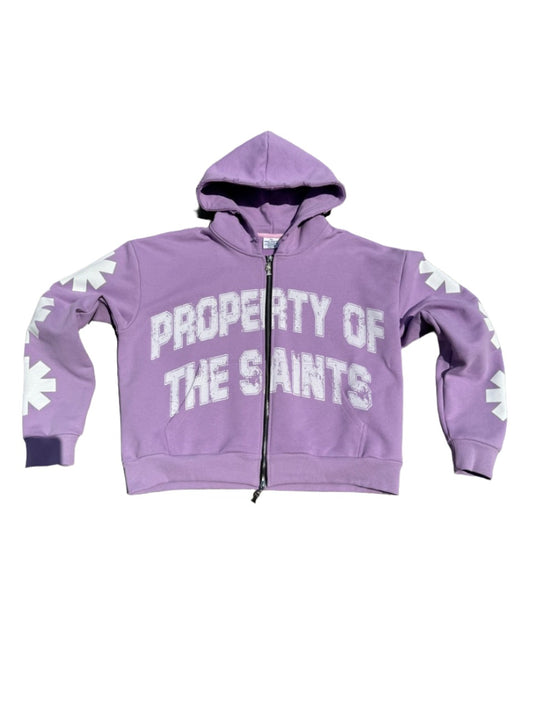 Ash Lavender Zip Up